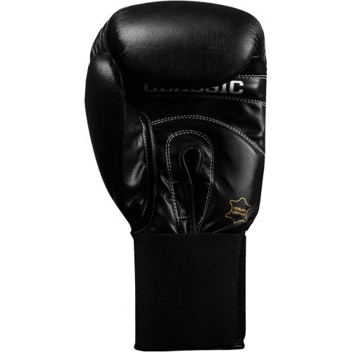  Title Boxing Title Classic Leather Elastic Training Gloves 2.0