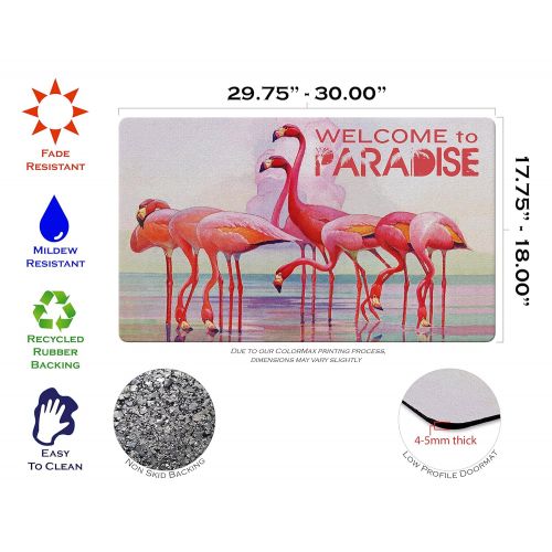  Toland Home Garden 800411 Flamingo Paradise Doormat, 18 x 30 Multicolor