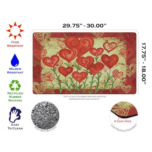  Toland Home Garden Garden Hearts 18 x 30 Inch Decorative Floor Mat Valentine Red Heart Flower Doormat - 800048