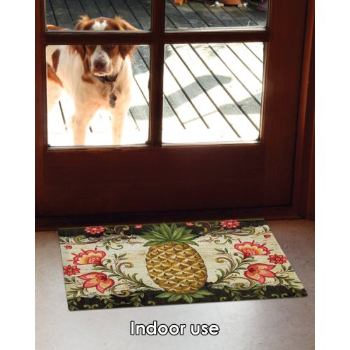  Toland Home Garden Pineapple and Scrolls 18 x 30 Inch Decorative Floor Mat Classic Fruit Design Flower Pattern Doormat