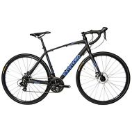 Tommaso Siena - Shimano Tourney Gravel Adventure Bike with Disc Brakes, Extra Wide Tires, Perfect for Road Or Dirt Touring, Matte Black