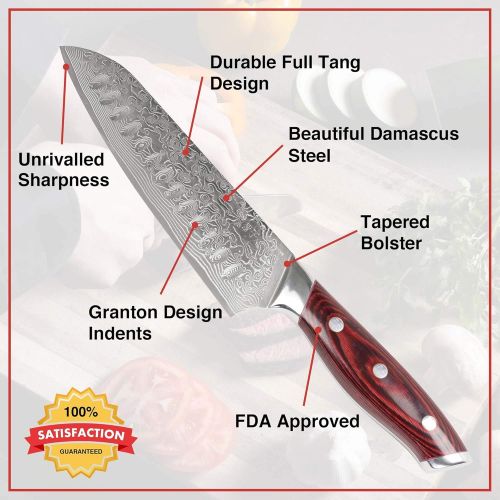  Tomoko Cutlery High Carbon Japanese Chef Knife - Made of VG-10 High-Carbon 67 Layers Damascus Stainless Steel - Pakka Wood Handle, Elegant Presentation Box, FDA Approved - Perfect Kitchen Knife f