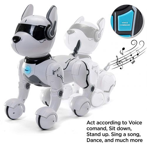 [아마존베스트]Top Race Remote Control Robot Dog Toy, Robots for kids, Rc Dog Robot Toys for Kids 2,3,4,5,6,7,8,9,10 year olds and up, smart & Dancing Robot Toy, Imitates Animals mini Pet Dog Robot