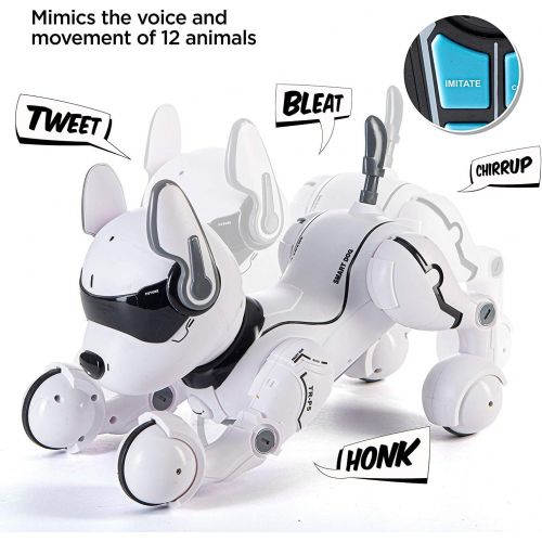  [아마존베스트]Top Race Remote Control Robot Dog Toy, Robots for kids, Rc Dog Robot Toys for Kids 2,3,4,5,6,7,8,9,10 year olds and up, smart & Dancing Robot Toy, Imitates Animals mini Pet Dog Robot