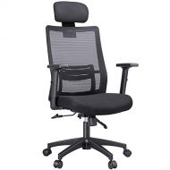 Topeakmart High Back Black Mesh Swivel Executive Office Chair with Adjustable Arms/Headrest and Lumbar Support Office Task Chair Ergonomic Computer Chair