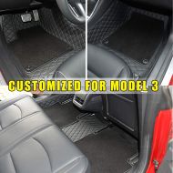 Topfit Car Carpet for Model 3,Car Floor Mat with Grass for Model 3 (Car Floor Mat in Black Stitches)