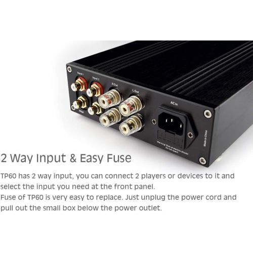  Topping TP-60 TP60 2*80W High Power Class-T AMP TA2022 Stereo Power Amplifier