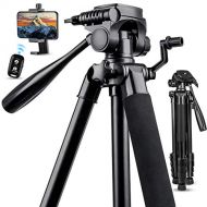 67 Camera Tripod Stand, Torjim (13 lbs/6kg Loads) Aluminum Travel Tripod with Carry Bag for Canon, DSRL, SRL, Phone Tripod Mount with Wireless Remote Control for Live Streaming, Wo