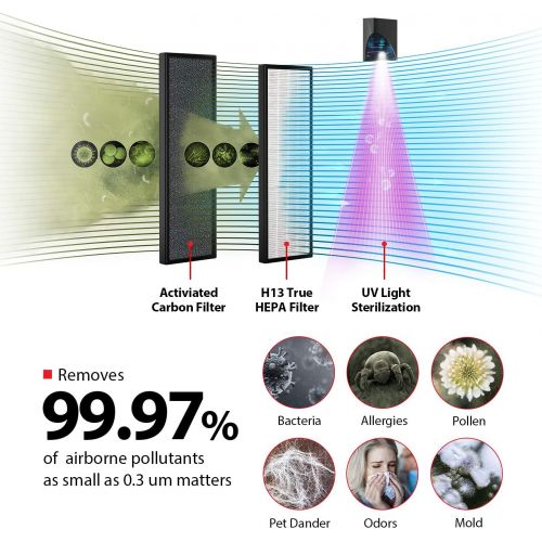  [아마존베스트]Toshiba Smart WiFi Air Purifier, 3-in-1 True HEPA Air Cleaner, Designed for Allergies, Pollen, Pets, Odors, Smoke and Dust, works with Alexa, Black  A Certified for Humans Device