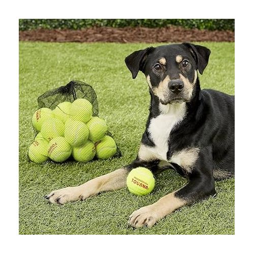  Tourna Mesh Carry Bag of 18 Tennis Balls