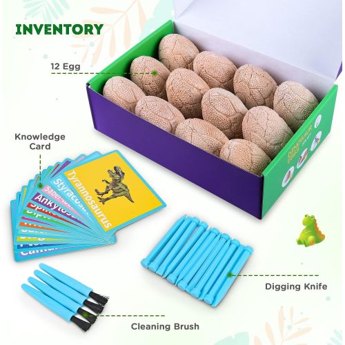  [아마존베스트]Toyk Dig Up Dinosaur Fossil Eggs,Break Open 12 Unique Dinosaur Fossil Eggs and Discover 12 Cute Dinosaurs,Funny Dinosaur Digging Toy for 3 4 5 6 7 8 9-12 Year Old Boys Archaeology Scien