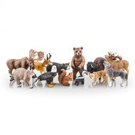 TOYMANY 12PCS North American Forest Animal Figurines, Realistic Safari Animal Figures Set Includes Raccoon,Lynx,Wolf,Bear,Eagle, Educational Toy Cake Toppers Christmas Birthday Gif