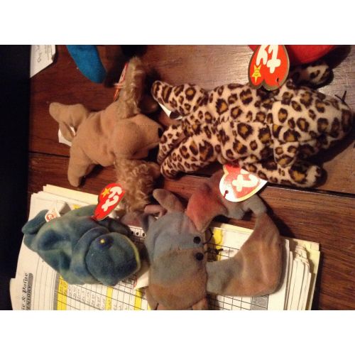  Toys & Hobbies Lot of 10 old Teenie Beanie Babies