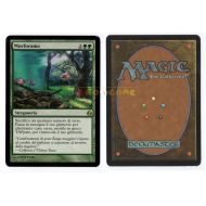 Toys & Hobbies MTG MAGIC Morforama - Scapeshift - Italiana Aurora Morningtide - 2008