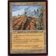 Toys & Hobbies MAGIC MtG - Terres Devastees Wasteland Lande desolate -NM FR