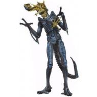 Toywiz NECA Aliens Series 12 Battle-Damaged Alien Xenomorph Action Figure [Blue]