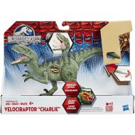 Toywiz Jurassic World Growler Velociraptor Charlie Action Figure