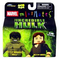 Toywiz Marvel Minimates The Incredible Hulk Battle Damaged Hulk & Betty Ross Minifigure 2-Pack