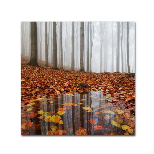  Trademark Art Trademark Fine Art Puddle Canvas Art by Martin Rak