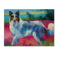 Trademark Art Trademark Fine Art Mony Collie Canvas Art by Marion Rose