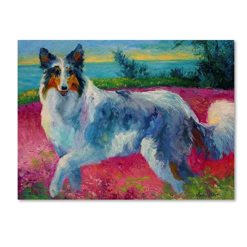  Trademark Art Trademark Fine Art Mony Collie Canvas Art by Marion Rose