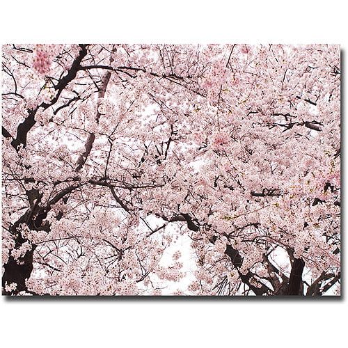  Trademark Art Trademark Fine Art Cherry Blossom Bonanza Canvas Wall Art by Ariane Moshayedi