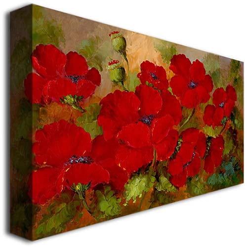  Trademark Art Trademark Fine Art Poppies Canvas Art by Rio