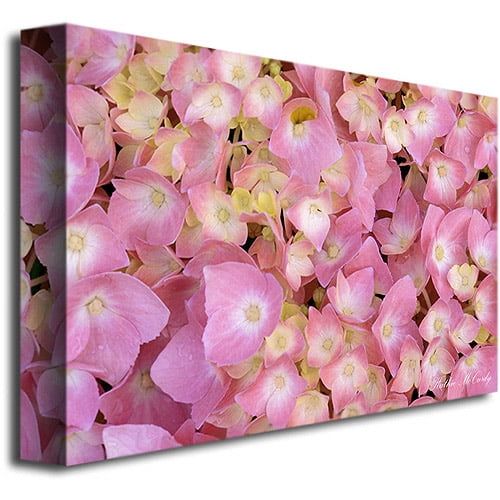  Trademark Art Trademark Fine Art Pink Hydrangea Canvas Art by Kathie McCurdy