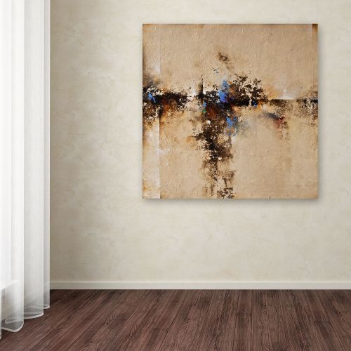  Trademark Art Trademark Fine Art Sands of Time I Canvas Art by CH Studios