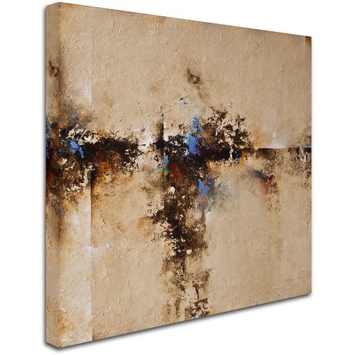  Trademark Art Trademark Fine Art Sands of Time I Canvas Art by CH Studios