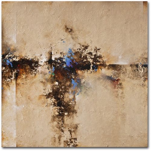  Trademark Art Trademark Fine Art Sands of Time I Canvas Art by CH Studios