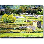 Trademark Art Bordeaux Vineyards in Spring Canvas Wall Art by David Lloyd Glover