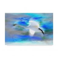 Trademark Art Trademark Fine Art White Swan Fly Canvas Art by Ata Alishahi