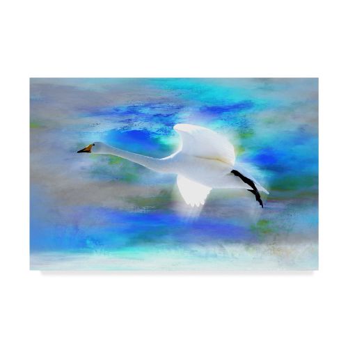  Trademark Art Trademark Fine Art White Swan Fly Canvas Art by Ata Alishahi