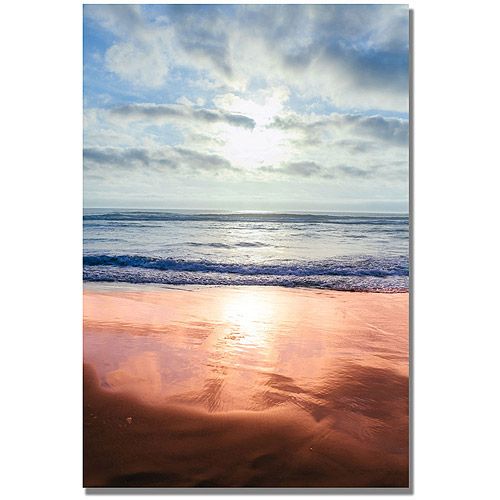  Trademark Art Trademark Fine Art Costal Reflections III Canvas Wall Art by Ariane Moshayedi