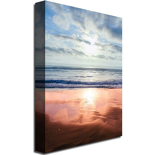  Trademark Art Trademark Fine Art Costal Reflections III Canvas Wall Art by Ariane Moshayedi