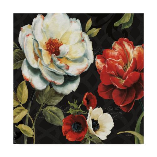  Trademark Art Trademark Fine Art Floral Story IV on Black Canvas Art by Lisa Audit