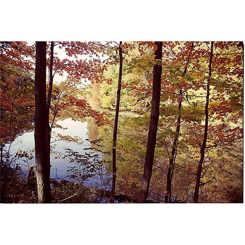  Trademark Art A Secret Pond Canvas Art by Kurt Shaffer