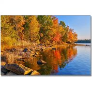 Trademark Art Early Morning Canvas Wall Art by CATeyes