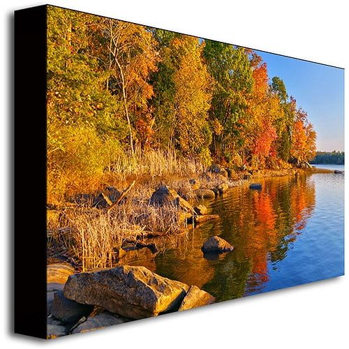  Trademark Art Early Morning Canvas Wall Art by CATeyes