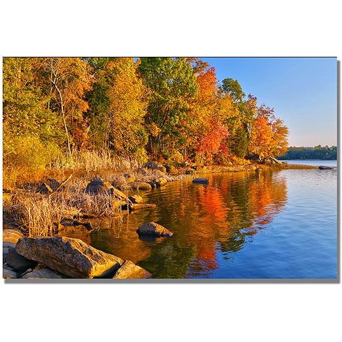  Trademark Art Early Morning Canvas Wall Art by CATeyes