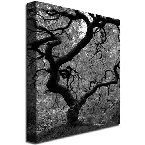  Trademark Art Japanese Tree II Canvas Wall Art by David Farley