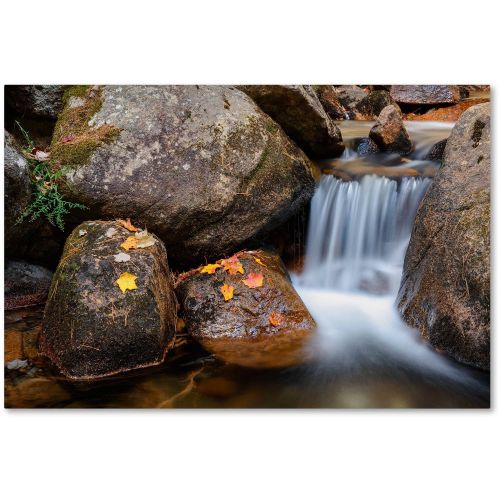  Trademark Art Trademark Fine Art Jordan Stream Canvas Art by Michael Blanchette Photography