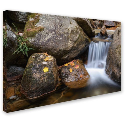  Trademark Art Trademark Fine Art Jordan Stream Canvas Art by Michael Blanchette Photography