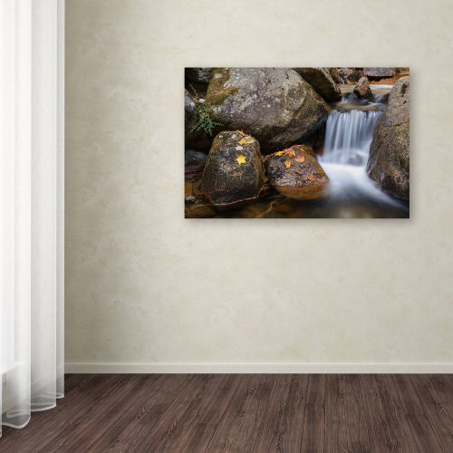  Trademark Art Trademark Fine Art Jordan Stream Canvas Art by Michael Blanchette Photography