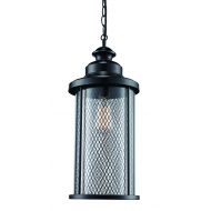 Trans Globe Lighting 40745 BK Stewart Outdoor Black Industrial Hanging Lantern, 16,