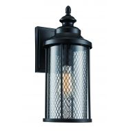 Trans Globe Lighting 40741 BK Stewart Outdoor Black Industrial Wall Lantern, 16,