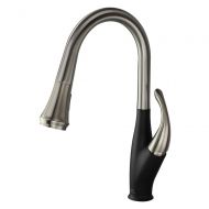 Transolid T3590-LS/09 Pull Out Kitchen Faucet with Single Handle