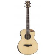 Traveler Guitar 4 String Acoustic-Electric Bass Guitar Right (CL3BE SPSE