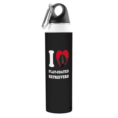  Tree-Free Greetings VB49052 I Heart Flat-Coated Retrievers Artful Traveler Stainless Water Bottle, 18-Ounce